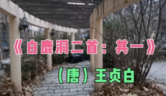 一寸光阴一寸金是谁写的