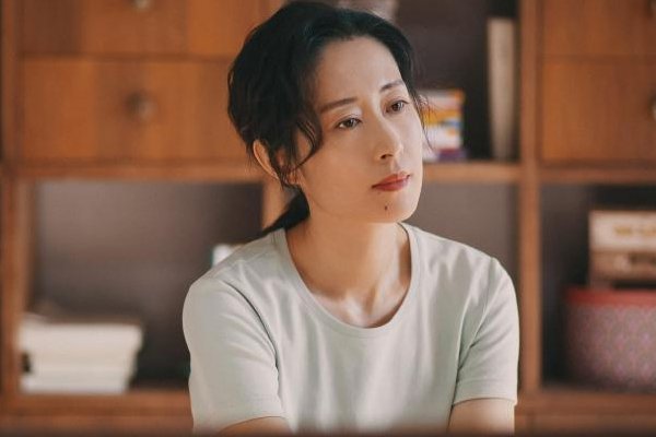 电视剧《生活家》发布刘敏涛文淇母女版预告,这部电视剧讲述了什么故事?