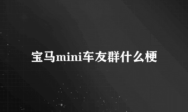 宝马mini车友群什么梗