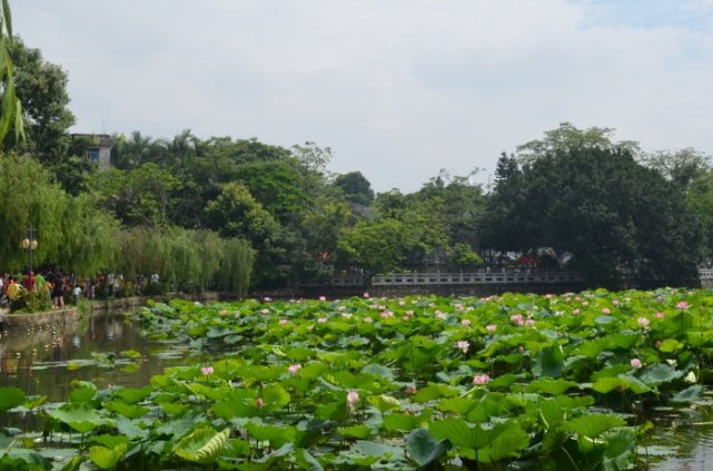 西湖风景区怎么样？可以说说吗？