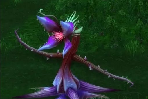 WOW 格罗姆之血在哪采的最多 具体位置 谢谢