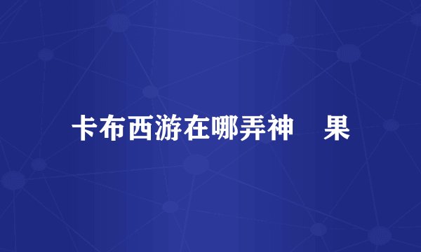 卡布西游在哪弄神眀果