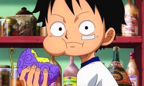 海贼王十大上古果实