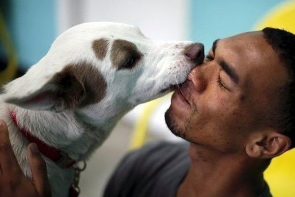 我每次回家狗狗都会十分热情,不停地扒我,怎么办?局面根本无法控制