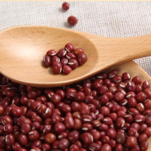 大红豆与小红豆的营养价值一样吗