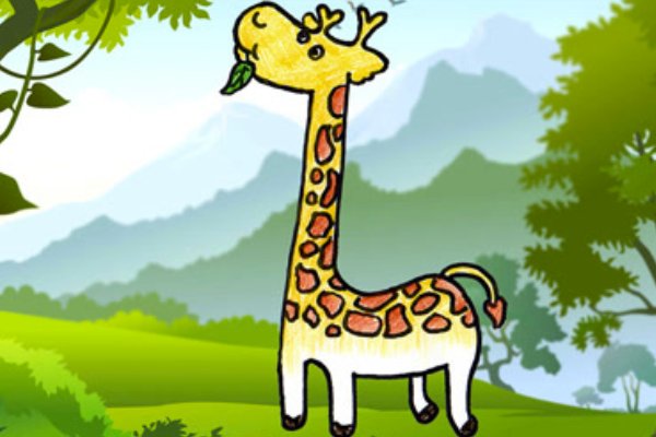 长颈鹿多久不喝水