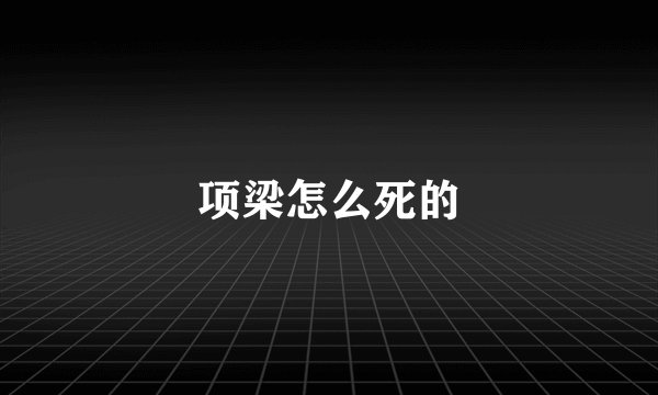 项梁怎么死的