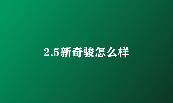 2.5新奇骏怎么样