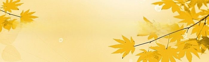 玫瑰小镇10级宝石(玫瑰小镇1314)