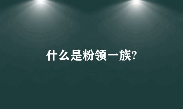 什么是粉领一族?