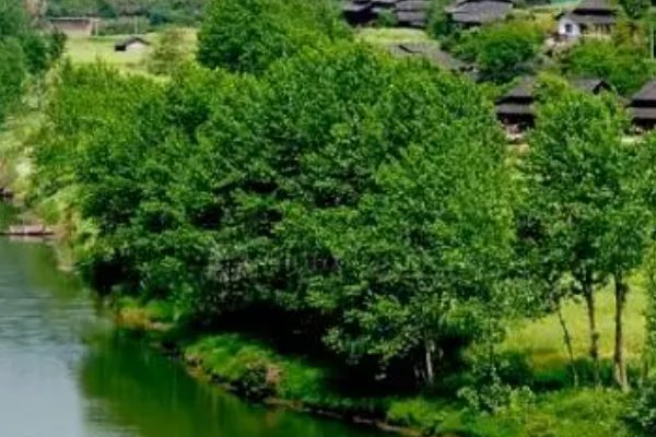 阴历9月初9是什么日子