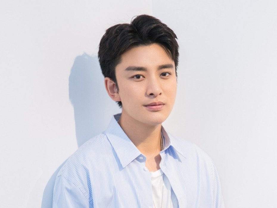 贾乃亮主演的电视剧大全