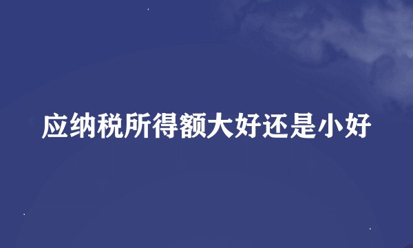 应纳税所得额大好还是小好