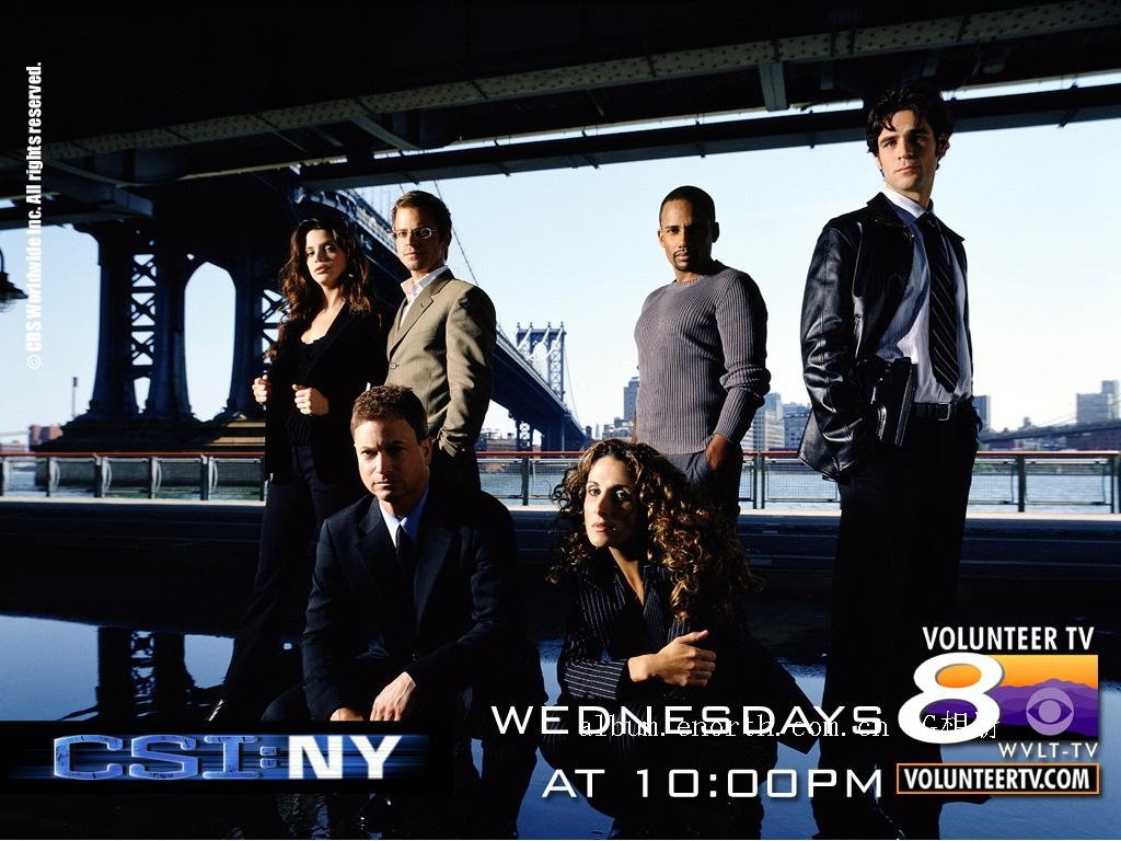 CSI纽约第八季的介绍