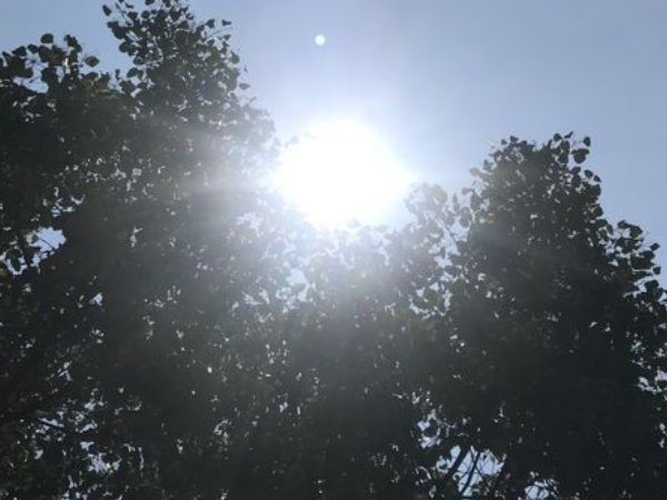 为什么今年这么热