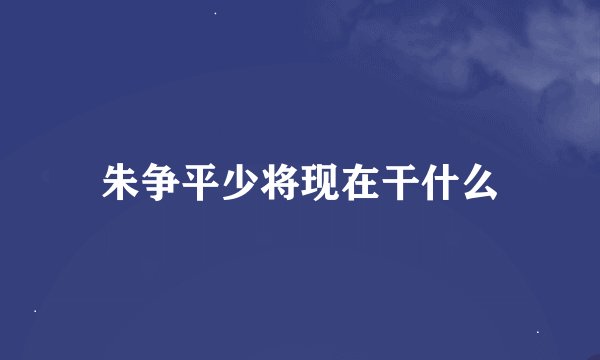 朱争平少将现在干什么