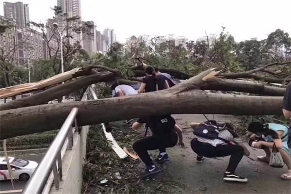 “梅花”过境！车窗上“飞”来大虾，台风“梅花”的威力有多大？