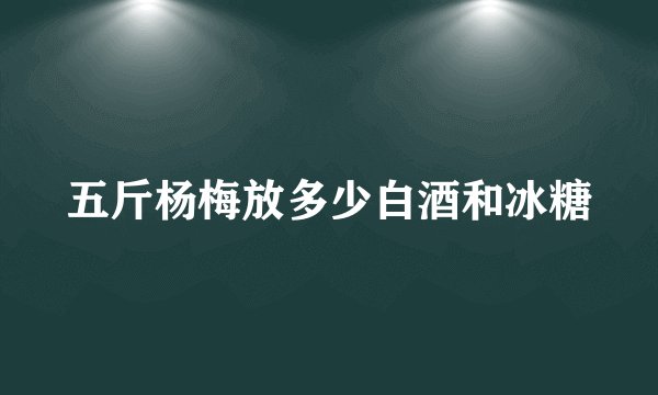 五斤杨梅放多少白酒和冰糖