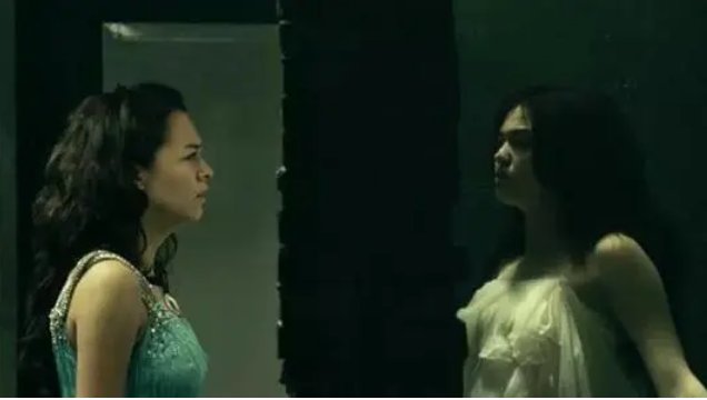 女蛹 看明白的来