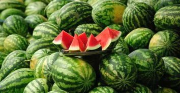 市民40分钟买完河南瓜农3000斤瓜，市民的举动给瓜农带来了哪些帮助？