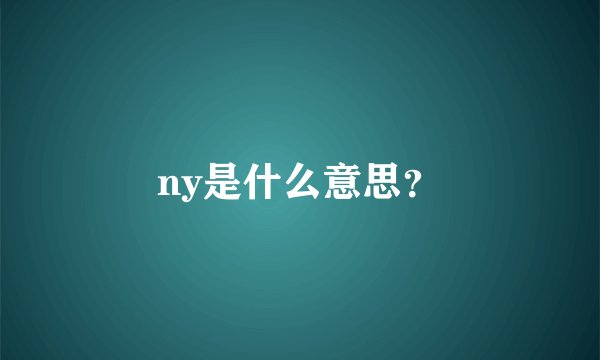 ny是什么意思？