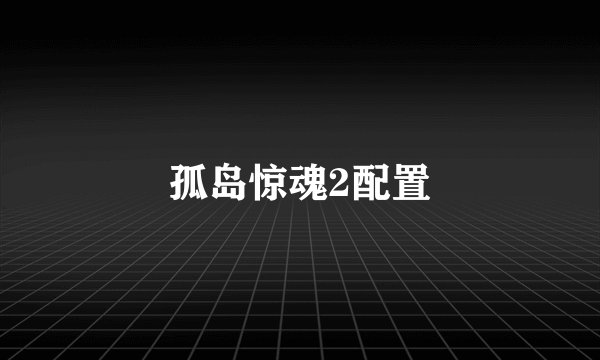 孤岛惊魂2配置