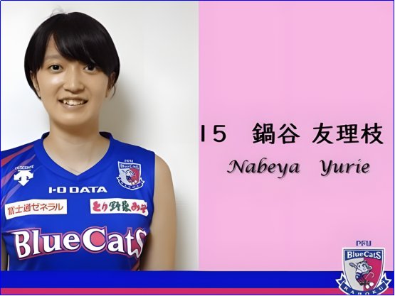 亚运日本女排阵容