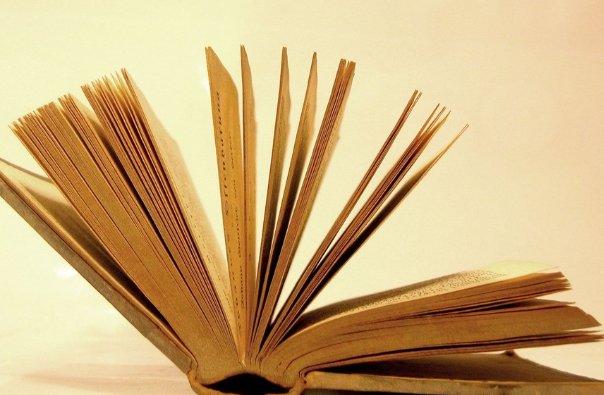 宜组词和拼音怎么写