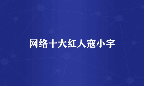 网络十大红人寇小宇
