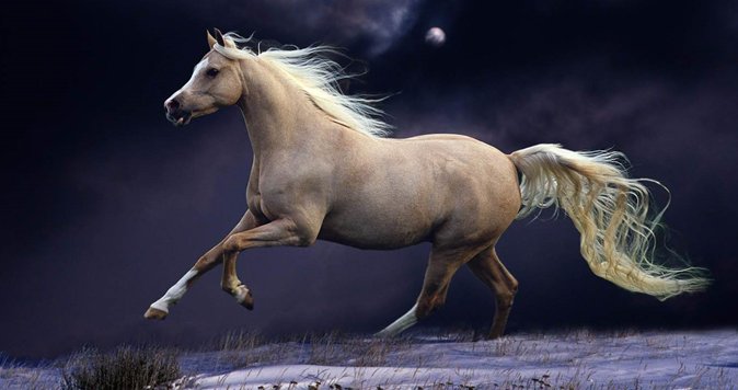 望尘莫及打一个生肖