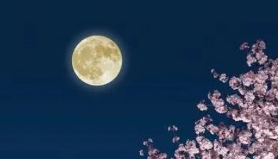 月明星稀表示什么感情?