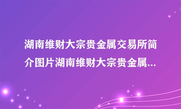 湖南维财大宗贵金属交易所简介图片湖南维财大宗贵金属交易所简介