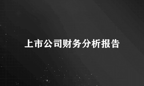 上市公司财务分析报告
