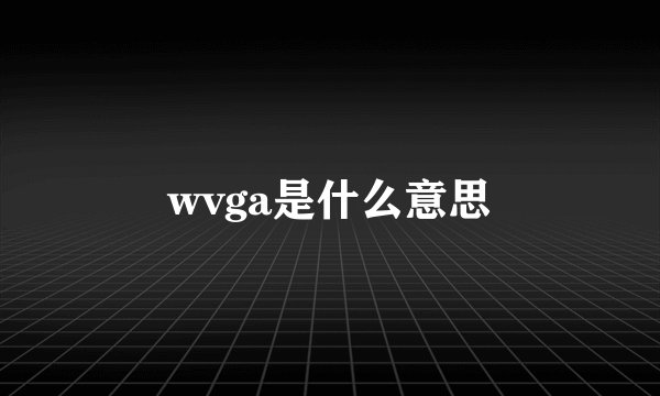 wvga是什么意思
