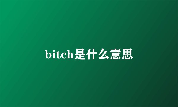bitch是什么意思