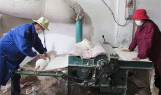 变形金刚摘棉花，机器操作更快，为什么人工越来越少了？