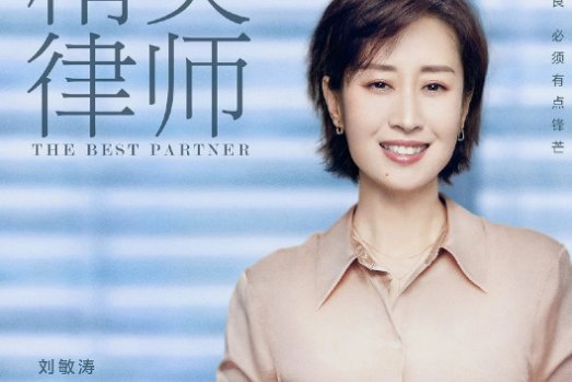 精英律师演员表有哪些人?