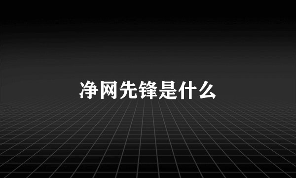 净网先锋是什么