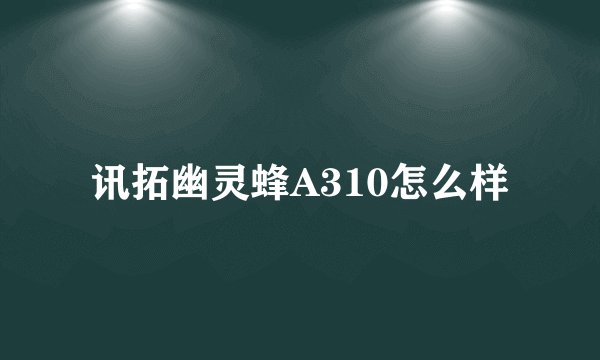 讯拓幽灵蜂A310怎么样