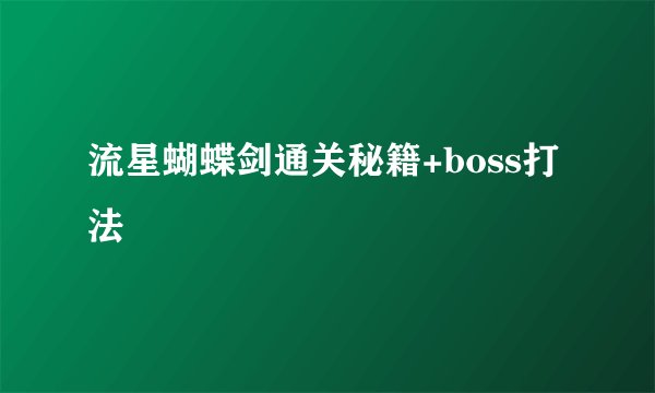 流星蝴蝶剑通关秘籍+boss打法