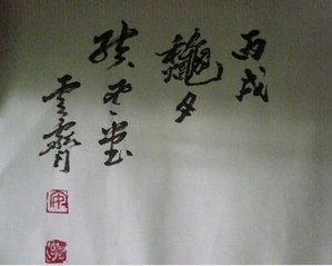 安云霁的人物介绍