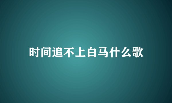 时间追不上白马什么歌