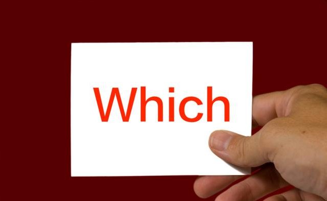 which of which与among which区别？