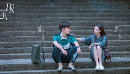 网剧《破茧》是由哪些演员主演的，这部作品的导演是谁？