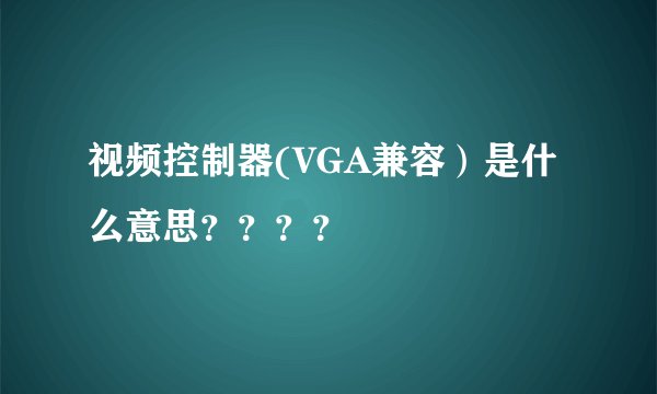 视频控制器(VGA兼容）是什么意思？？？？
