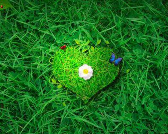 8月份14号是什么节日啊？