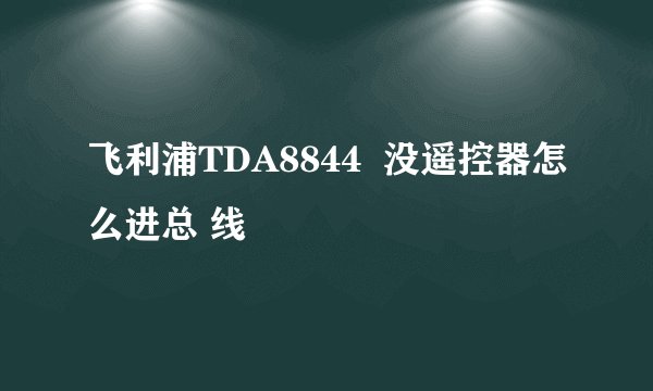飞利浦TDA8844  没遥控器怎么进总 线