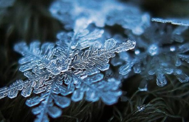 雪花一共有几种形状