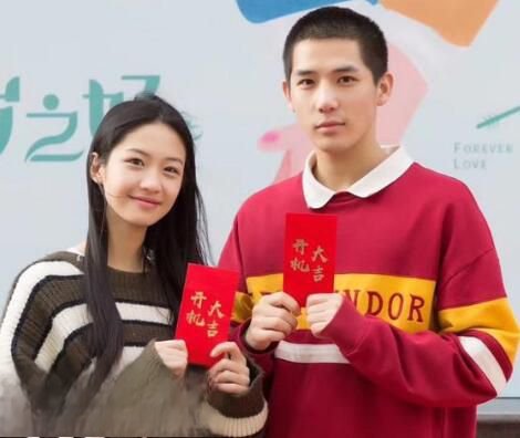 王安宇喜欢向涵之吗 向涵之王安宇是什么关系