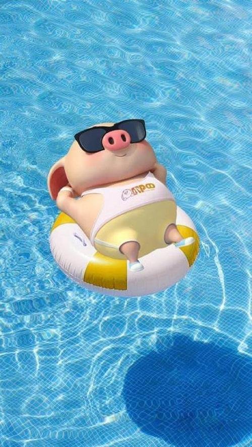 泸定地震“猪坚强”：被救时正游泳，它会成为“猪坚强”二号吗？